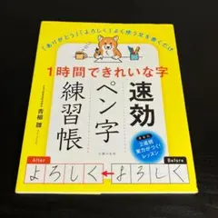 1時間できれいな字 速効ペン字練習帳 t82