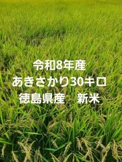 令和8年産。徳島県産。あきさかり。玄米。30キロ。お米。新米。農家直送