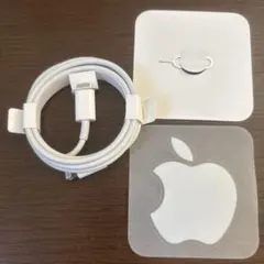 Item thumbnail for item 64d662bb-dbfe-4116-bd3d-8256830bb22c