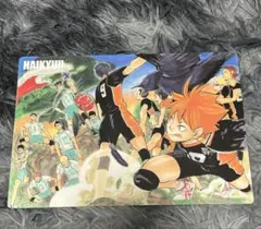 ハイキュー JF 下敷き 日向 影山 月島 及川 岩泉 牛島 烏野 青城 白鳥沢