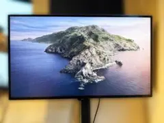 43インチ モニター