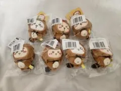 【新品】たぬきだもんくじ　C賞　ハチワレ不在