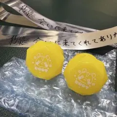 るぅと ワンマン リングライト 2個 おまけ銀テ付き