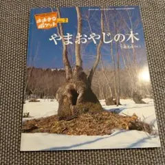 やまおやじの木 ひみつのたからチョコラーテ 福音館書店