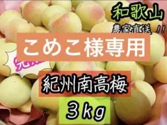 こめこ様専用 完熟小梅 3kg