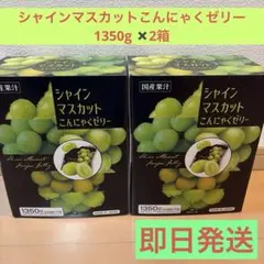 コストコ　シャインマスカット こんにゃくゼリー 1350g、75個入り×2箱のサムネイル