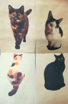 Item thumbnail for item aca2709c-593d-481a-b708-88f230ecf110