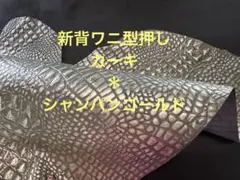 Item thumbnail for item c9f9c157-585d-4407-b489-e8ccdeb0b984