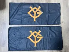 ジャイアンツ　応援タオ2枚セット