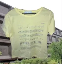 igusa 音符 Tシャツ 黄色 イグサ 193