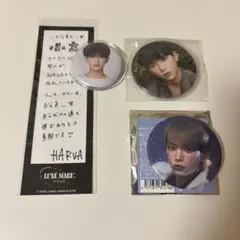 &TEAM HARUA 缶バッジ