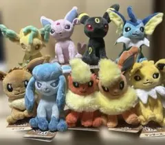 タグ有り　ポケモンfit ブイズ