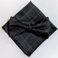 Item thumbnail for item 81512e89-a368-4484-b677-ab19990bfd83