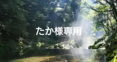 たか様専用✨特典付電磁波防止✨本物CMCペンダントUSA版10本値引