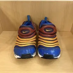 ダイナモフリー　21センチ