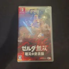 ゼルダ無双 厄災の黙示録 Nintendo Switchのサムネイル