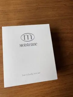 Moisteane モイスティーヌⅢ PAT3665632 美顔器 - メルカリ