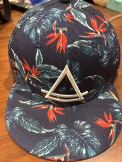 Item thumbnail for item d430a1af-e77c-4909-a9b2-abf6129924f3