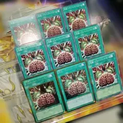 遊戯王【9枚セット】洗脳ブレインコントロール
