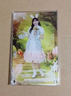 ひな図書 富田鈴花 アクリルアートパネル テイクオフ 日向坂46