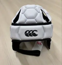 Item thumbnail for item d1c39352-201e-4a62-8d23-6efecdaf4a79