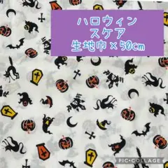 (特価93)スケア　シーチング　ハロウィン　おばけ　かぼちゃ　黒猫　生地巾×50