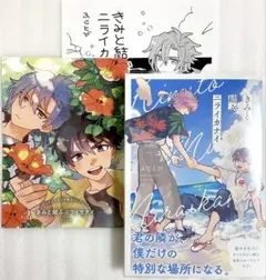 きみと結ぶニライカナイ ふじとび コミコミ購入特典リーフレット付き