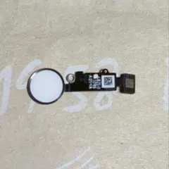 Item thumbnail for item fd2ae28f-00b7-4552-813b-5dc5d05a3635