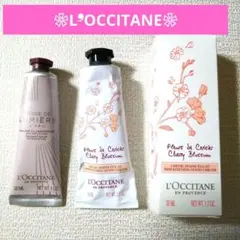 2025年最新】ロクシタンテールドルミエールの人気アイテム