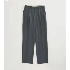 shinzone CHRYSLER PANTS TYPE-2 GRAY 32