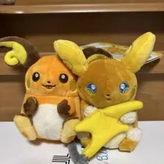 2025年最新】磁石でくっつくペアマスコット ライチュウ&アローラ