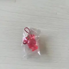 TWICE LOVELYS グミチャーム　チェヨン