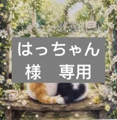 はっちゃん様　専用