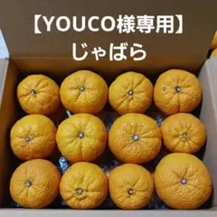 【YOUCO様専用】じゃばら　合計25個　4.8kg　送料込み
