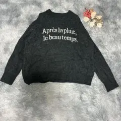 Palm RICHE ポームリシュ（L）長袖 ニット ロゴ クルーネック