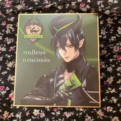 ツイステ　マレウス色紙メタルカード　シルバーアルカナカード