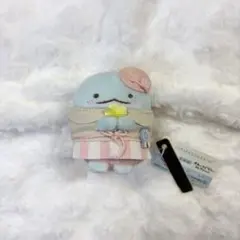 すみっコぐらし てのりぬいぐるみ 受注 梅雨ぬいぐるみセット とかげ