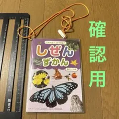 朱鷺のキンちゃん空を飛ぶ - メルカリ