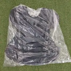 Item thumbnail for item e1b53640-7071-4af0-b973-142720e7b201