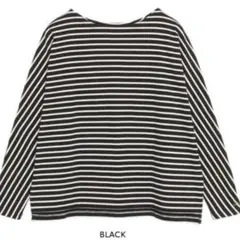 クレドナ　cdn刺繍ボーダードルマンカットソー