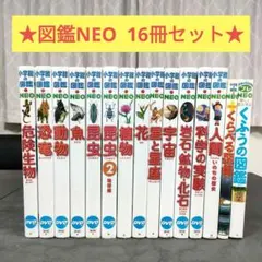 【16冊セット】 小学館の図鑑NEO　プレNEO　学習図鑑　児童書　まとめ売り