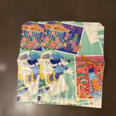 東京ディズニーランド 紙袋