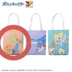 ポケモン プラチナムザッカトートバッグ ホウエン地方 キモリアチャモミズゴロウ