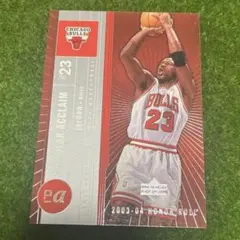 HONOR ROLLPopular Acclaim マイケル・ジョーダン