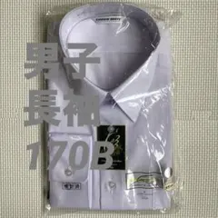 Item thumbnail for item fa5b7c1e-24c5-455a-b67d-9de67acd61bf