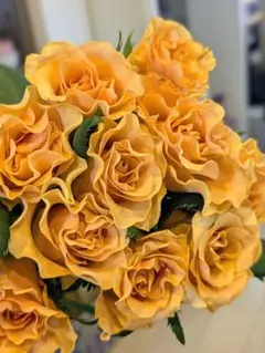 みるみるどらねこ様専用ページ//２点まとめ買い