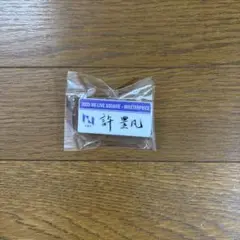 INI 許豊凡 XQUARE カプセルトイ ネームプレート