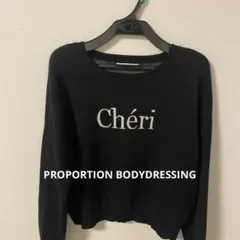PROPORTION BODYDRESSING長袖ニット フリーサイズ