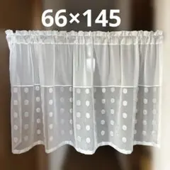カフェカーテン　66×145 ドット柄
