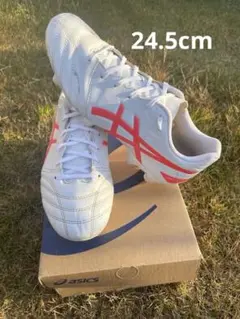 asics DS LIGHT CLUB WIDE 24.5cm